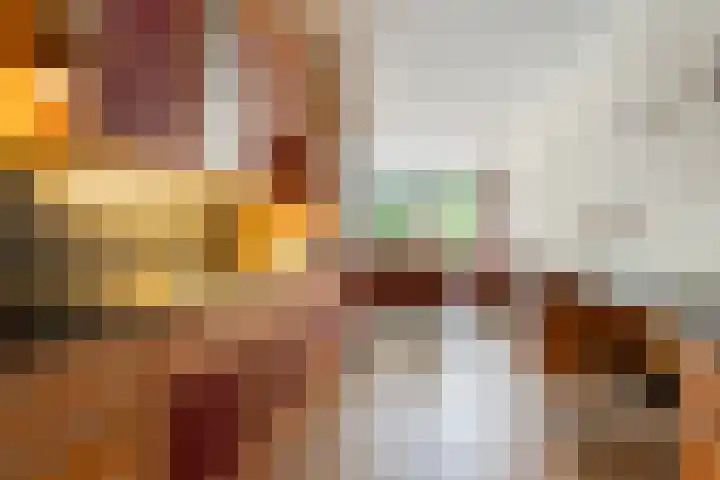 Catsveld 130 Gouda thumbnail 17