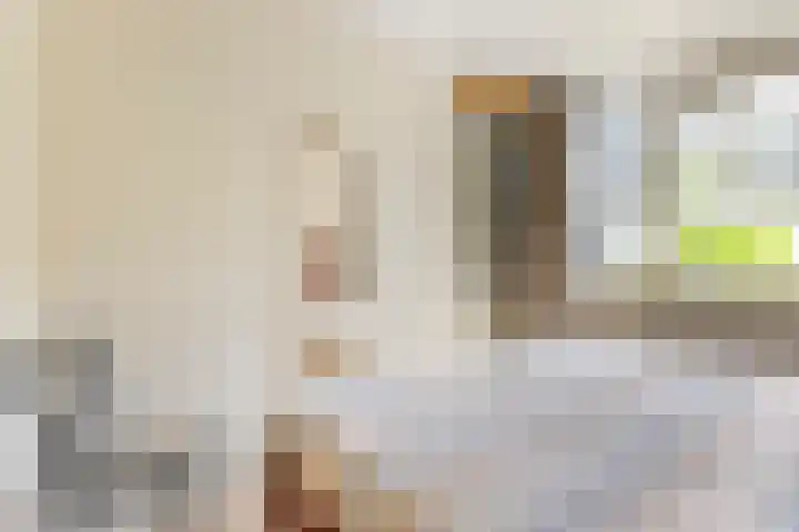 Catsveld 130 Gouda thumbnail 19