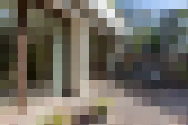 Catsveld 130 Gouda thumbnail 25