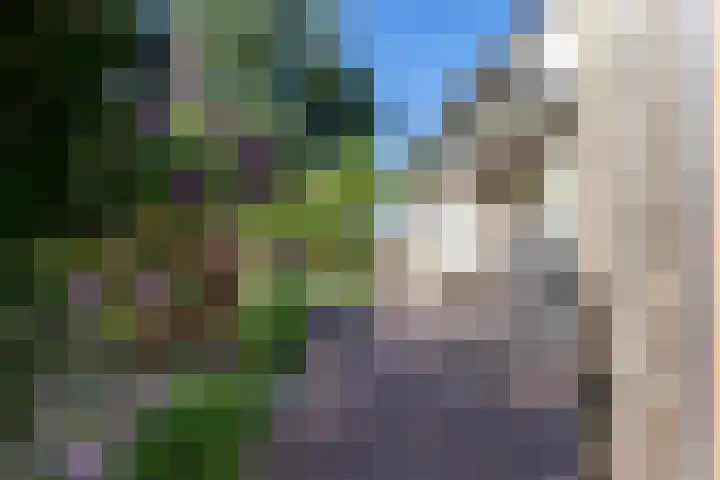Catsveld 130 Gouda thumbnail 26