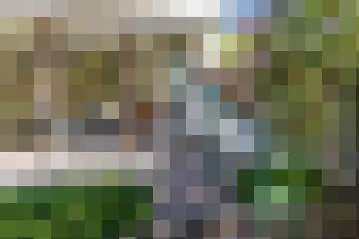 Catsveld 130 Gouda thumbnail 27
