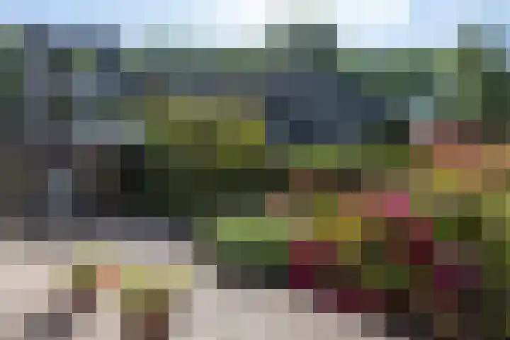 Catsveld 130 Gouda thumbnail 28