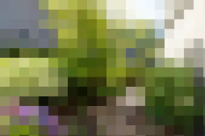 Catsveld 130 Gouda thumbnail 29