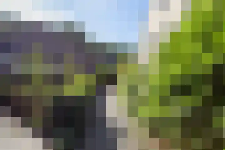 Catsveld 130 Gouda thumbnail 30