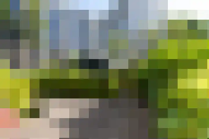 Catsveld 130 Gouda thumbnail 31