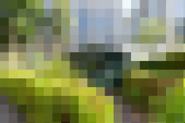 Catsveld 130 Gouda thumbnail 32
