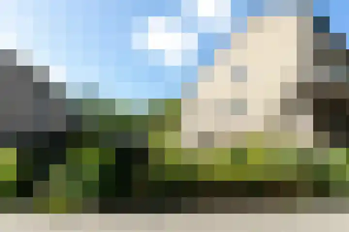 Catsveld 130 Gouda thumbnail 33