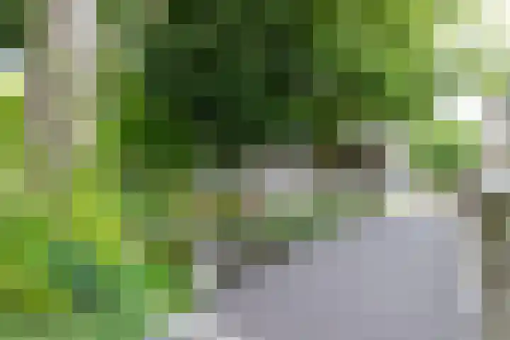 Catsveld 130 Gouda thumbnail 35