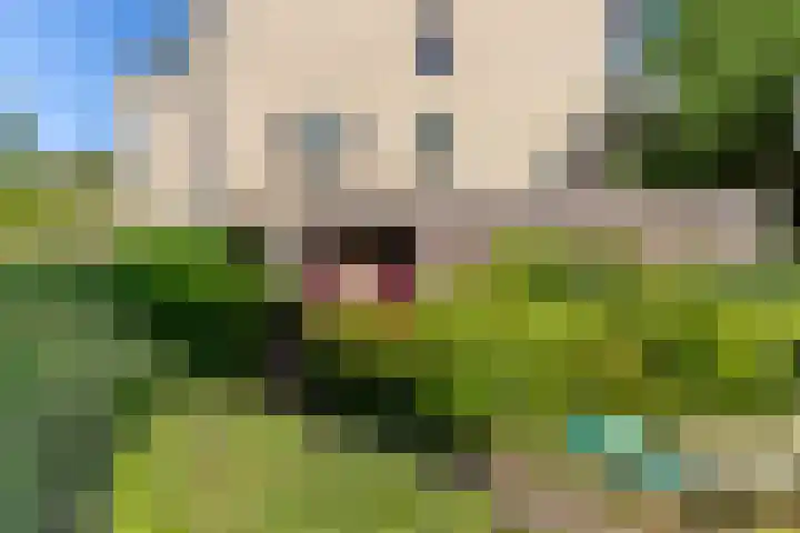 Catsveld 130 Gouda thumbnail 5