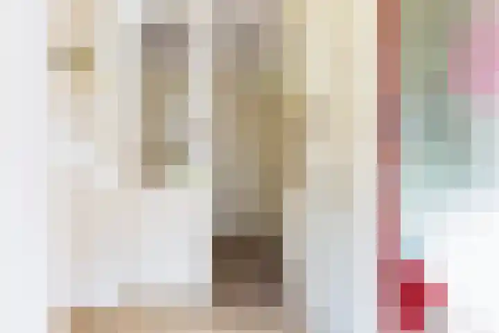 Catsveld 130 Gouda thumbnail 7
