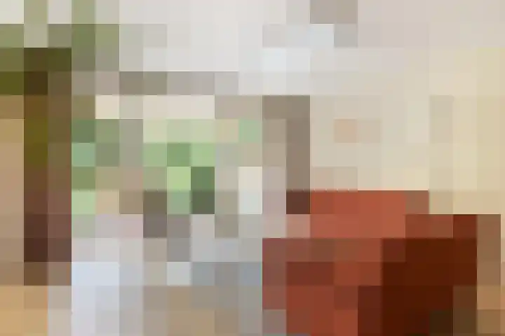 Catsveld 130 Gouda thumbnail 9