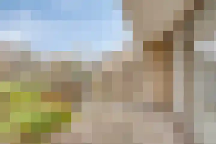 Catsveld 14 Gouda thumbnail 11