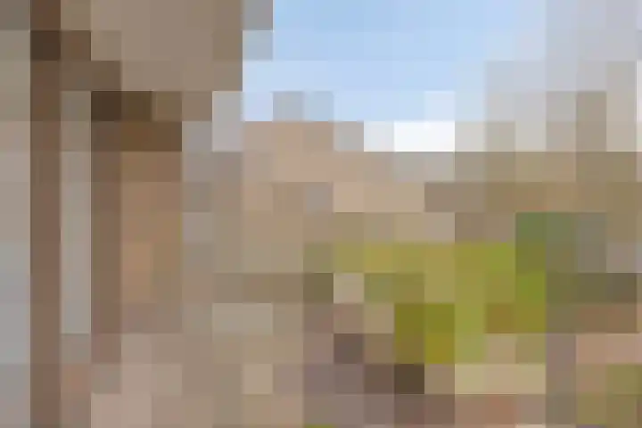 Catsveld 14 Gouda thumbnail 12