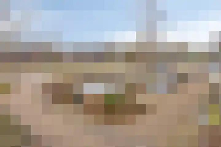 Catsveld 14 Gouda thumbnail 13