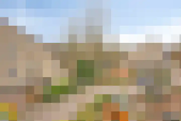 Catsveld 14 Gouda thumbnail 14