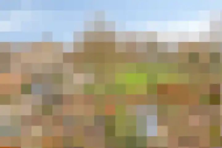 Catsveld 14 Gouda thumbnail 15