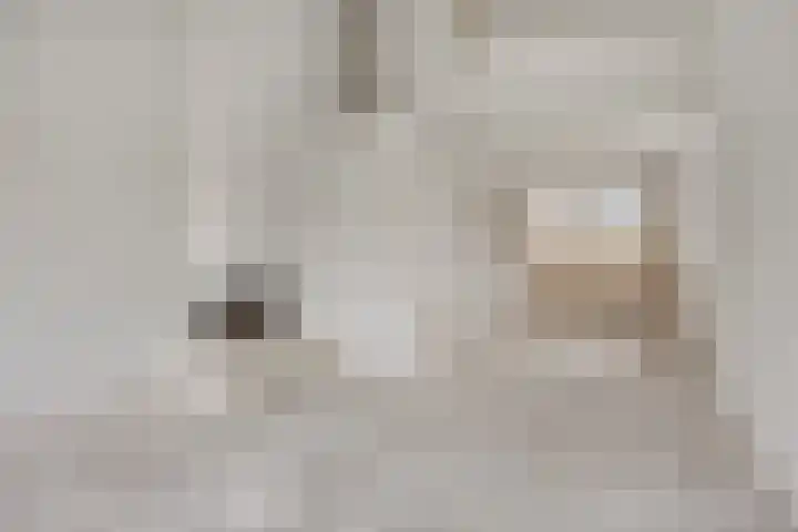 Catsveld 14 Gouda thumbnail 17