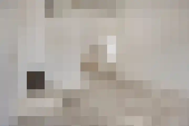 Catsveld 14 Gouda thumbnail 18