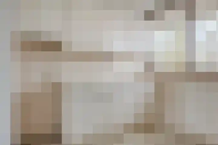 Catsveld 14 Gouda thumbnail 22