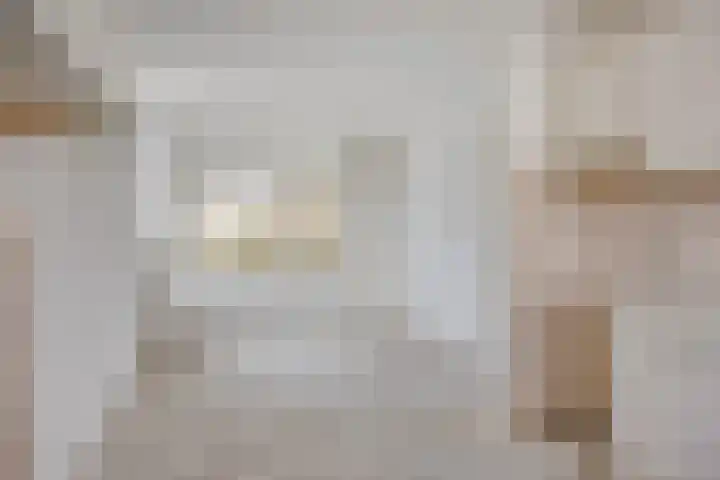 Catsveld 14 Gouda thumbnail 24