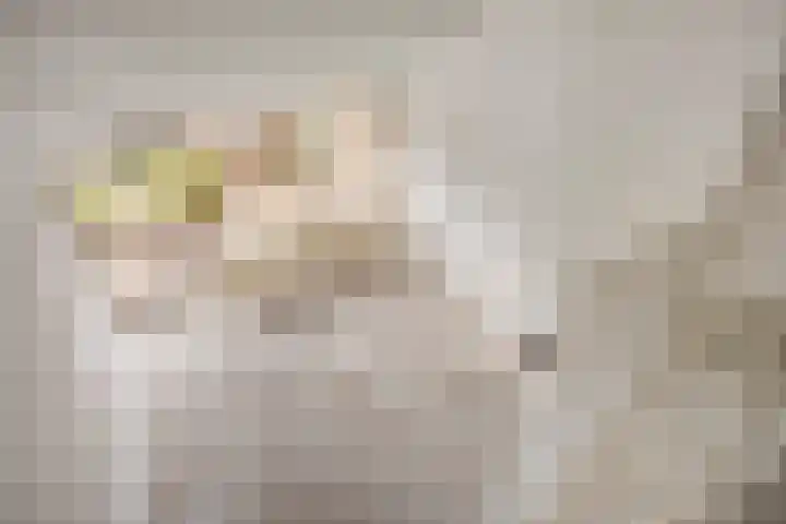 Catsveld 14 Gouda thumbnail 25