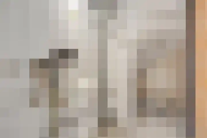 Catsveld 14 Gouda thumbnail 32