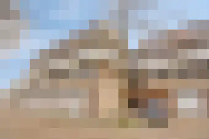 Catsveld 14 Gouda thumbnail 37