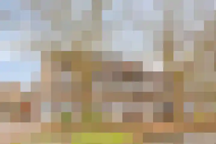 Catsveld 14 Gouda thumbnail 38