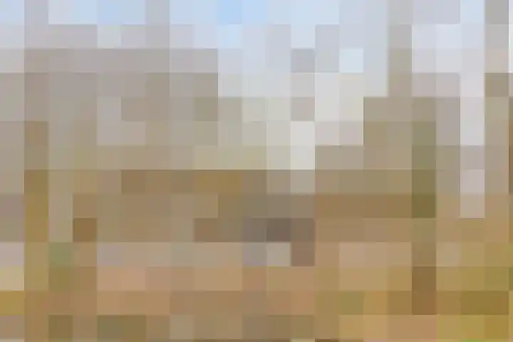 Catsveld 14 Gouda thumbnail 39
