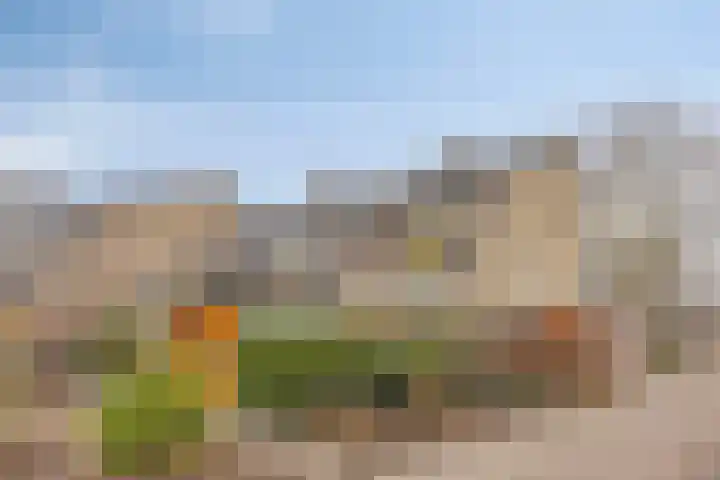 Catsveld 14 Gouda thumbnail 40