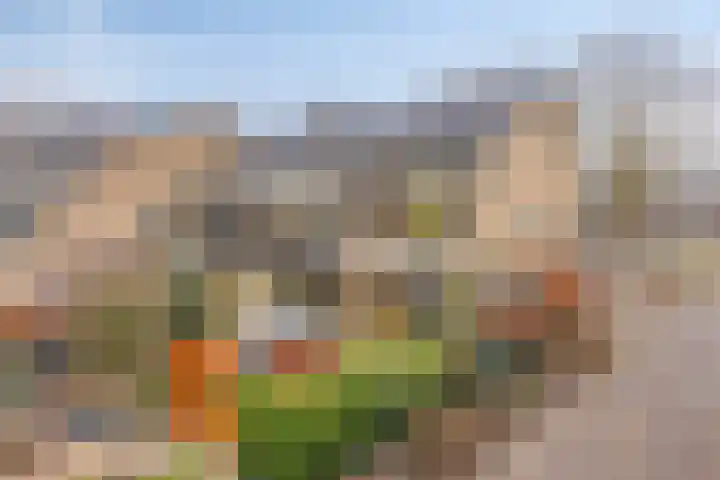 Catsveld 14 Gouda thumbnail 42