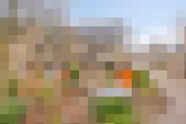 Catsveld 14 Gouda thumbnail 43