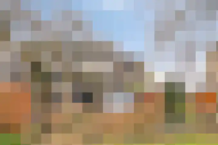 Catsveld 14 Gouda thumbnail 44