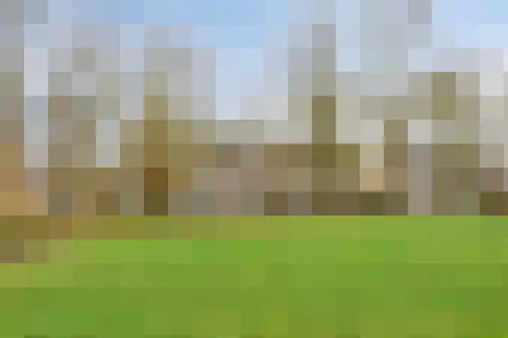 Catsveld 14 Gouda thumbnail 45