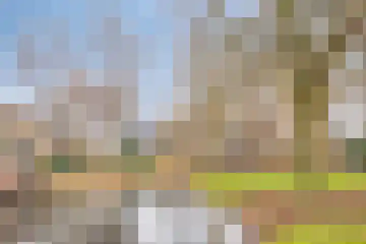 Catsveld 14 Gouda thumbnail 46