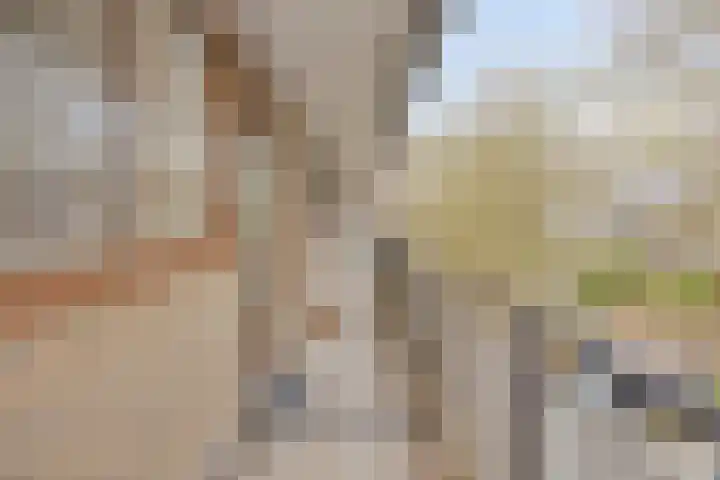 Catsveld 14 Gouda thumbnail 6