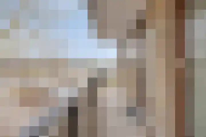 Catsveld 14 Gouda thumbnail 7