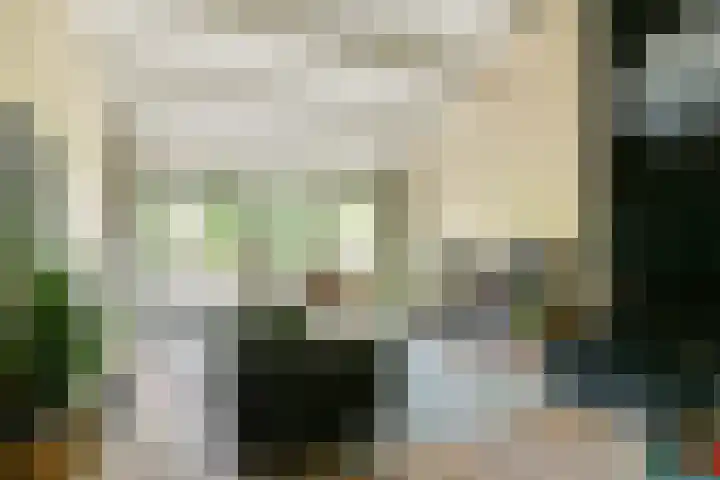 Catsveld 141 Gouda thumbnail 10