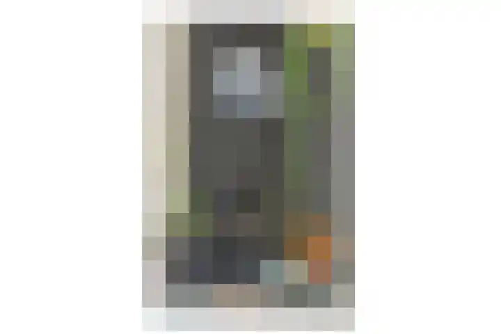 Catsveld 141 Gouda thumbnail 12