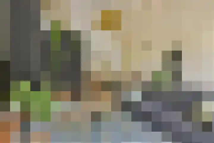 Catsveld 141 Gouda thumbnail 13