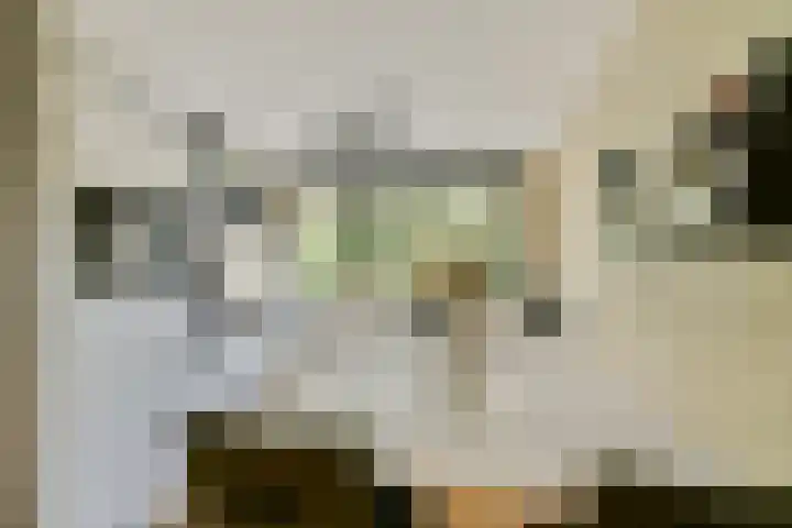Catsveld 141 Gouda thumbnail 16