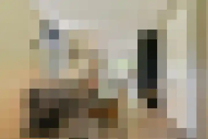 Catsveld 141 Gouda thumbnail 17