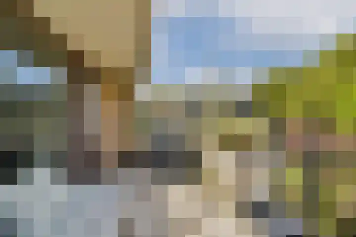 Catsveld 141 Gouda thumbnail 20