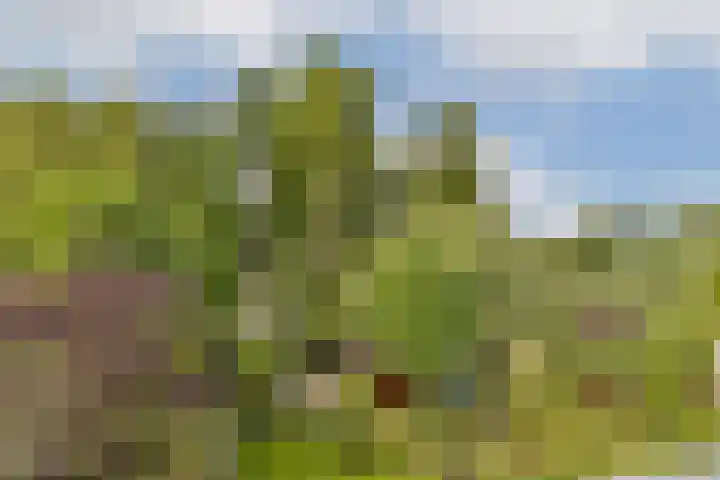 Catsveld 141 Gouda thumbnail 21