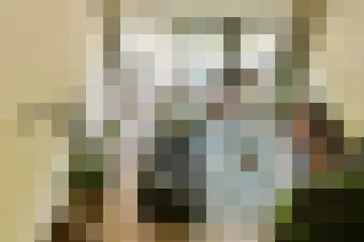 Catsveld 141 Gouda thumbnail 22