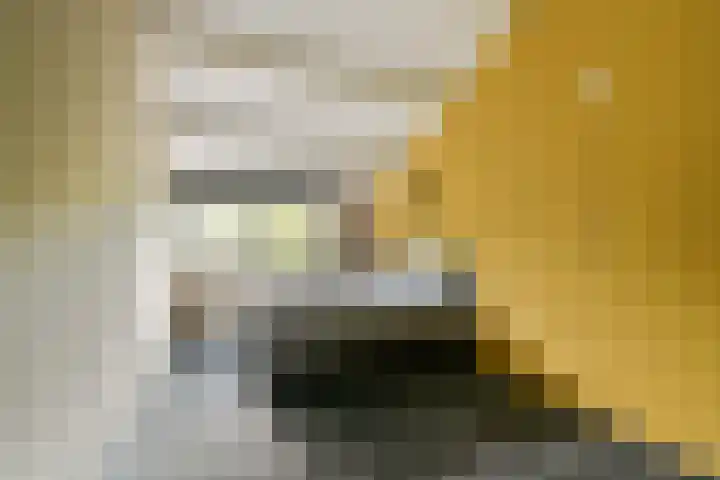 Catsveld 141 Gouda thumbnail 24