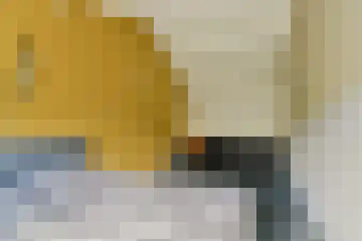 Catsveld 141 Gouda thumbnail 25