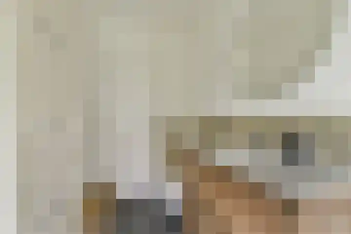 Catsveld 141 Gouda thumbnail 27