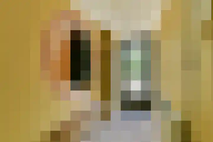 Catsveld 141 Gouda thumbnail 28