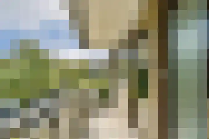 Catsveld 141 Gouda thumbnail 29